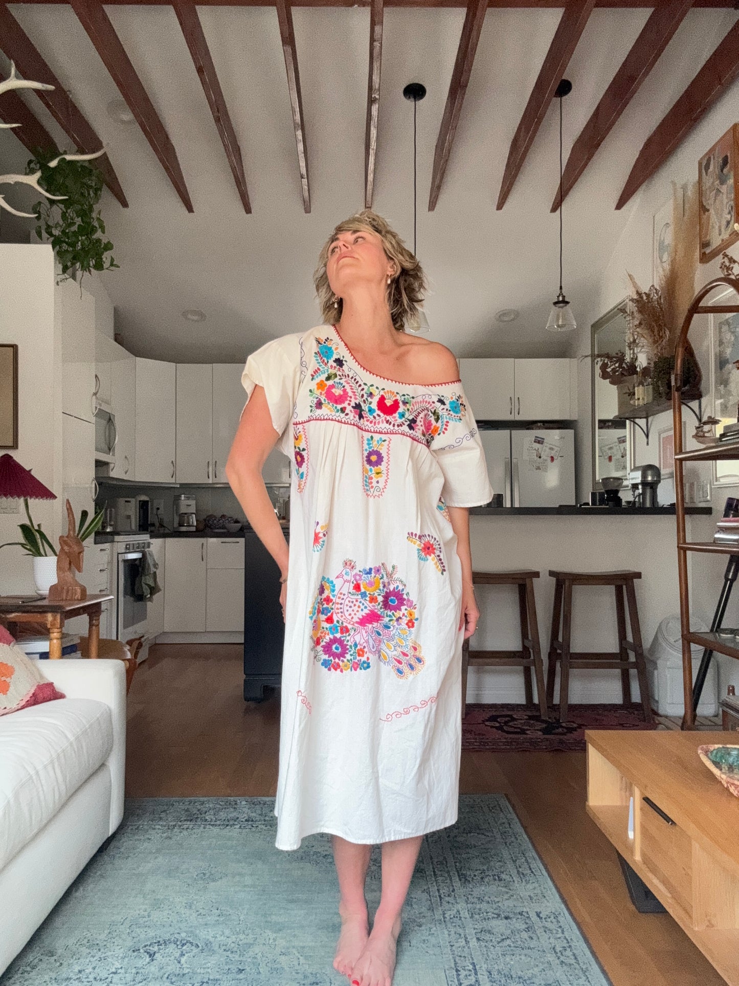 The Delilah Embroidered Cotton Dress
