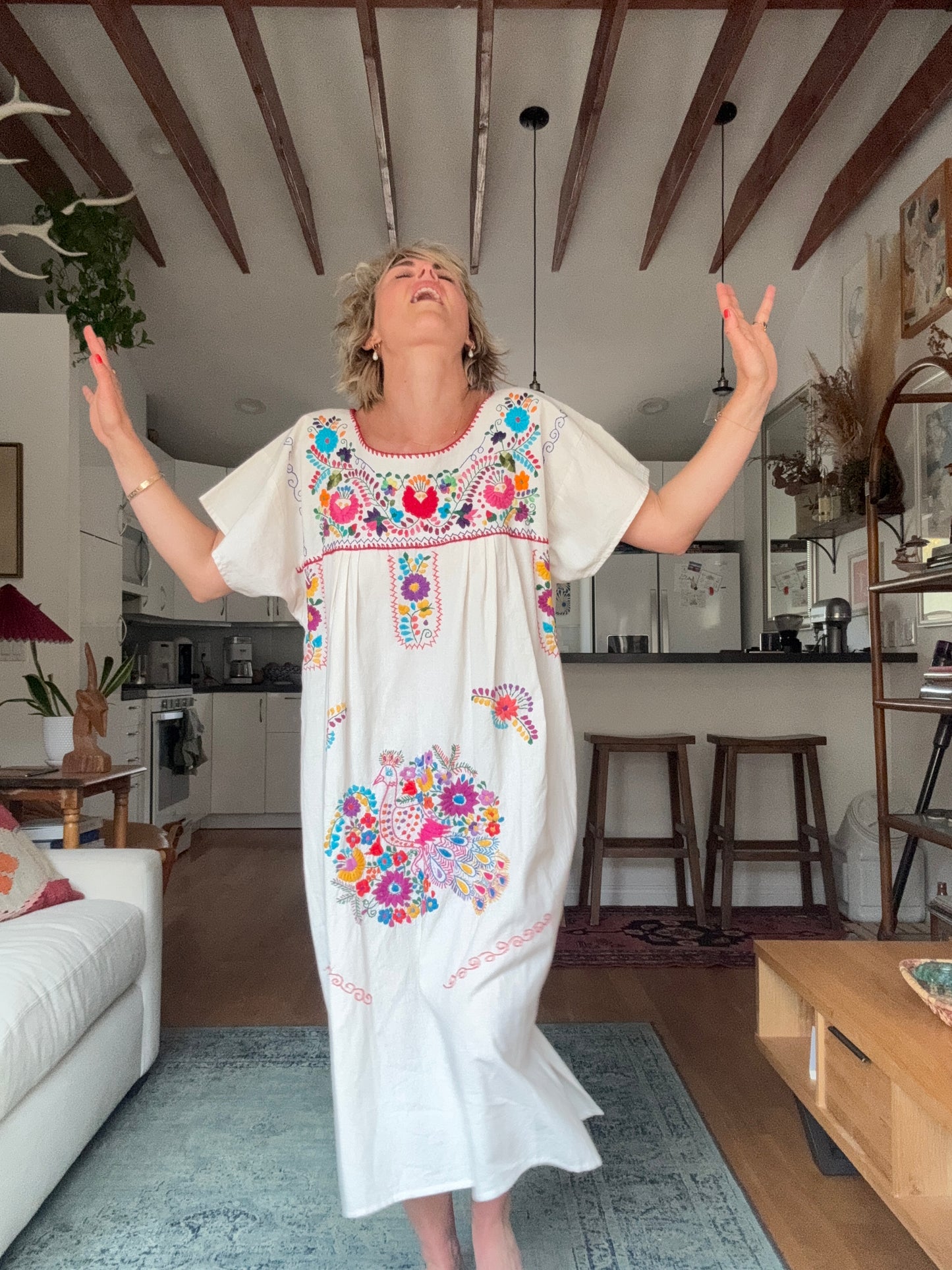 The Delilah Embroidered Cotton Dress