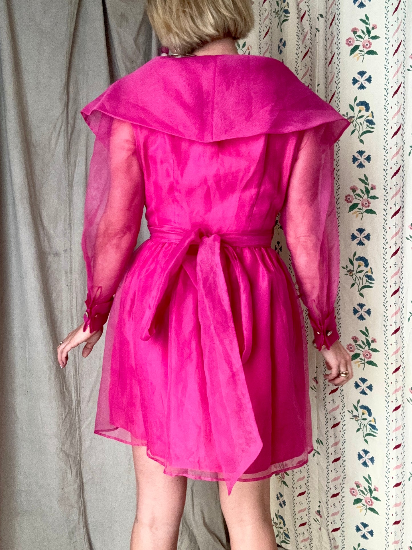 The Effie 1970s Organza Dress