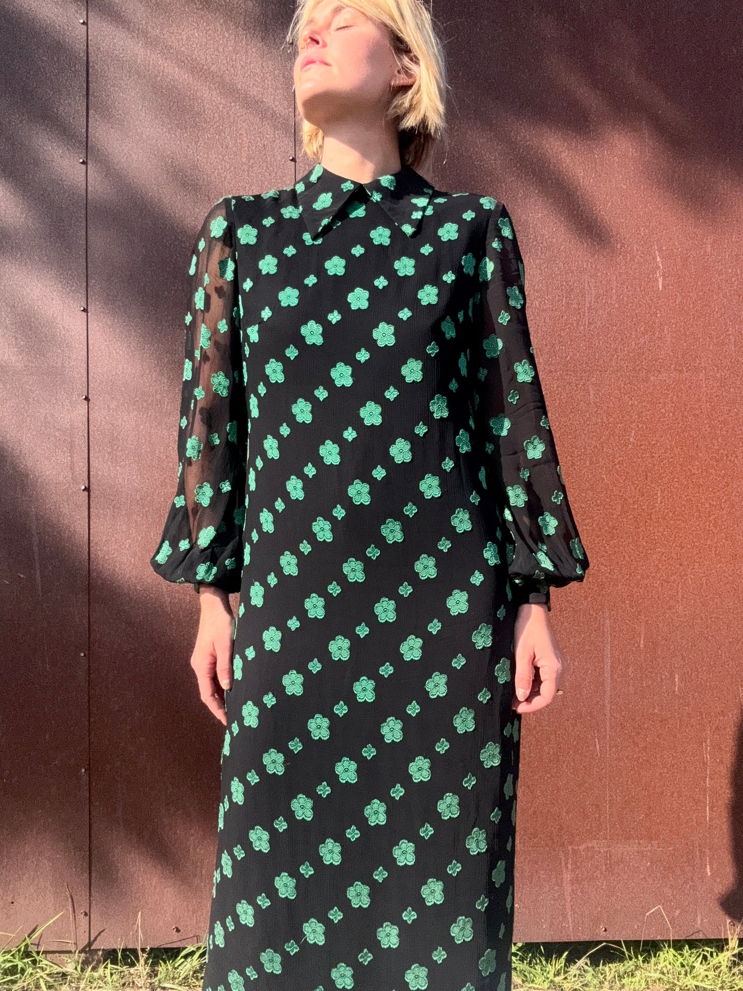 The Jon Mandl 1960s Chiffon Maxi Dress