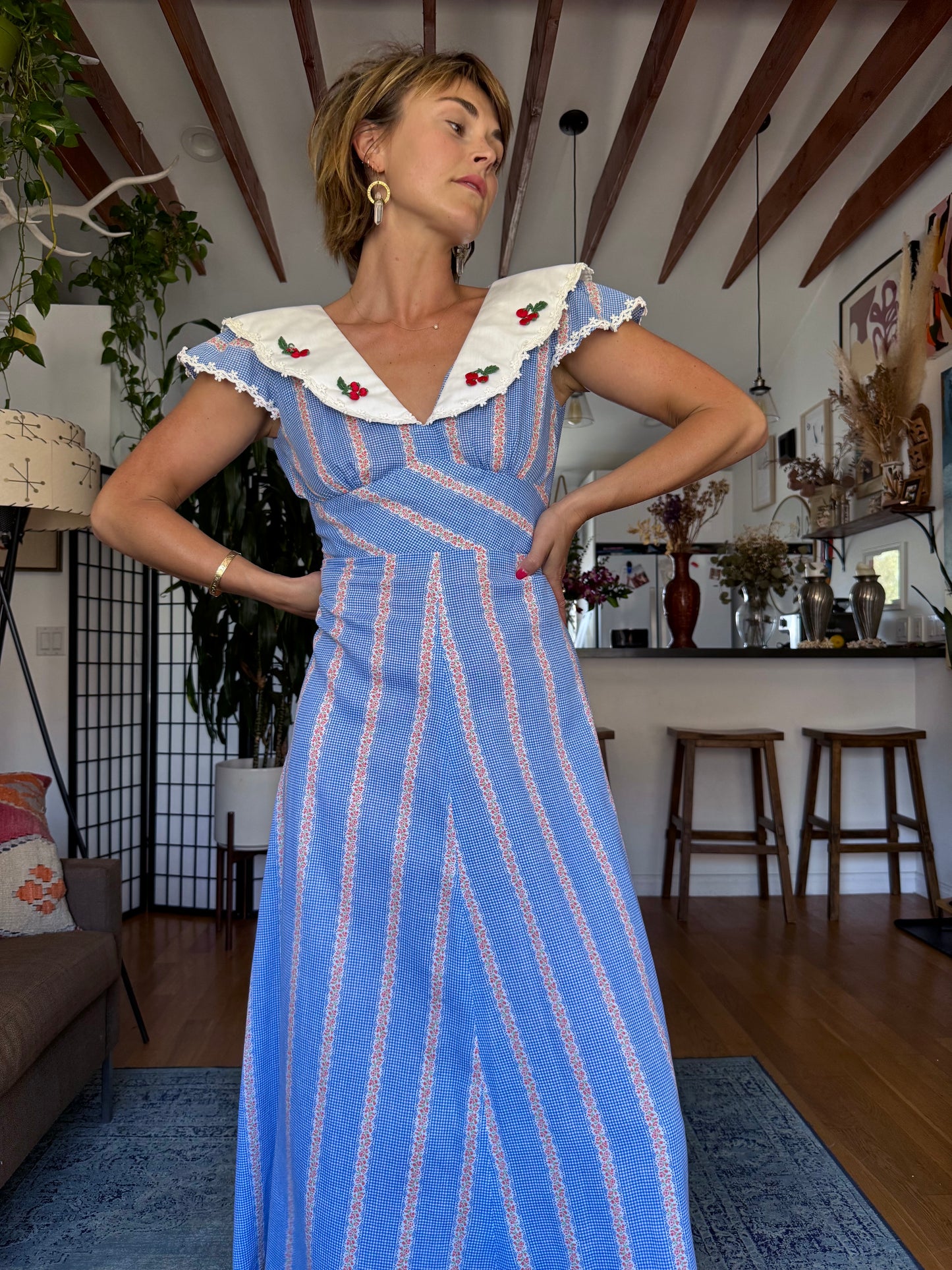 The Melissa 1960s Picnic Dress